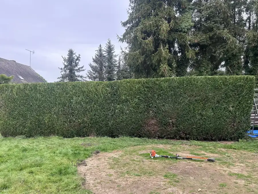 Entretien de jardin au printemps par Tom Legrand, paysagiste dans l'Eure